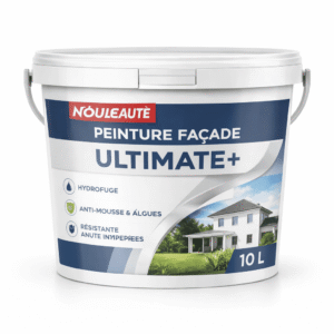Peinture Façade Protection Plus